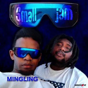 Mingling by Small Jam