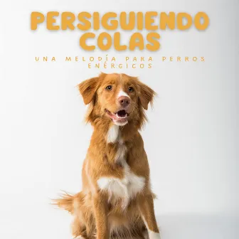 Persiguiendo Colas: Una Melodía Para Perros Enérgicos by Susurrador de perros