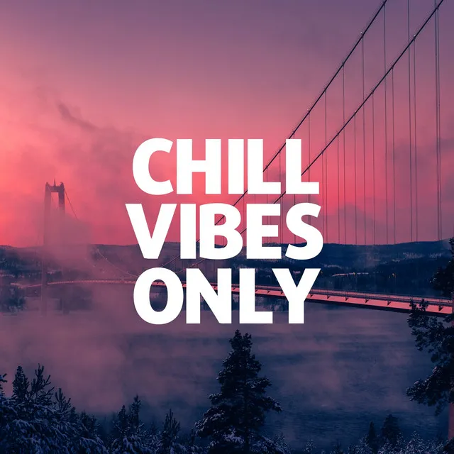 Chillstep Mix 2020