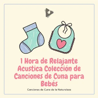 1 Hora de Relajante Acustica Colección de Canciones de Cuna para Bebés by Canciones de Cuna de la Naturaleza