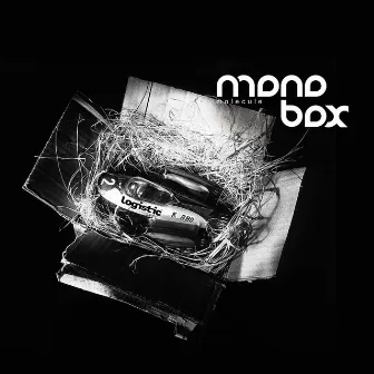 Molecule by Monobox