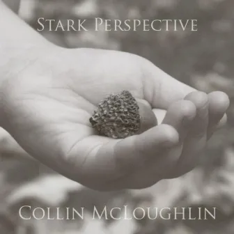 Stark Perspective by Collin McLoughlin