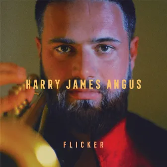 Flicker by Harry James Angus