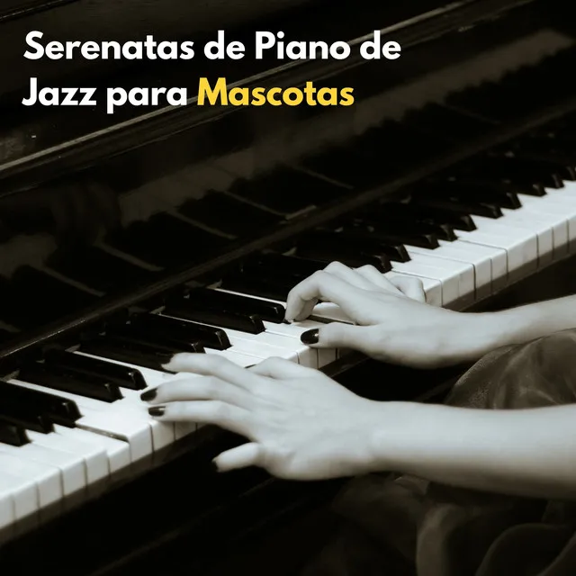 Serenatas De Piano De Jazz Para Mascotas