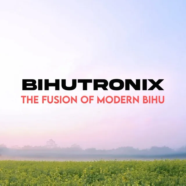 Bihutronix