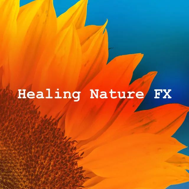 Healing Nature FX