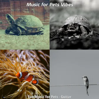 Fun Music for Pets - Guitar by 