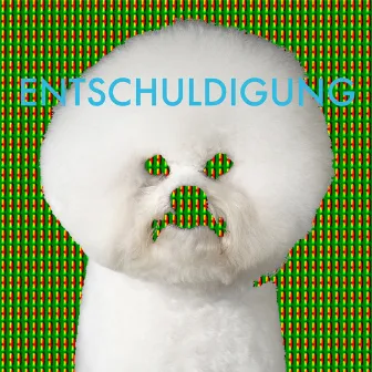 Entschuldigung - EP by Entschuldigung