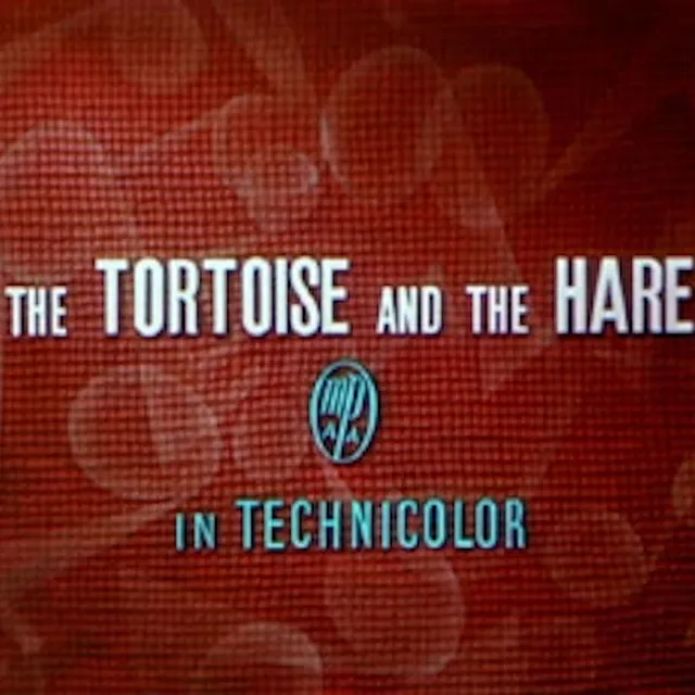 Tortoise And The Hare