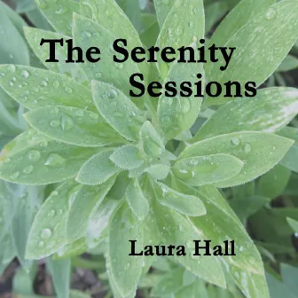 The Serenity Sessions by Laura Hall