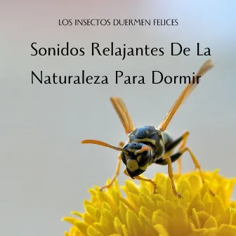 Los Insectos Duermen Felices: Sonidos Relajantes De La Naturaleza Para Dormir by Luna Dormida