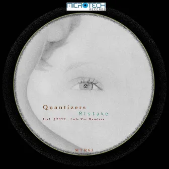 Mistake by Quantizers