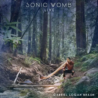 Sonic Womb Live by Gabriel Logan Braun