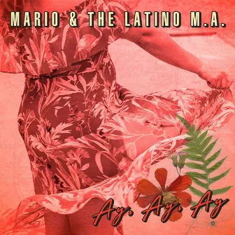 Ay, Ay, Ay by Mario & The Latino M.A.