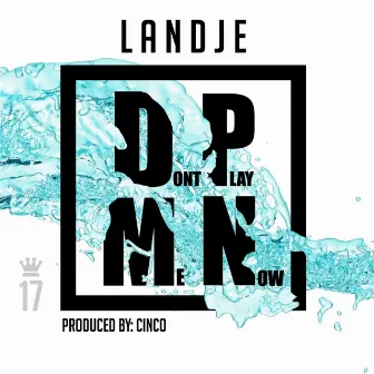 Don't Play Me Now by Landje