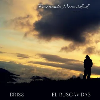 Frecuente Necesidad by Briss