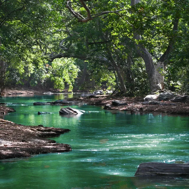 Calming Running River for Meditation