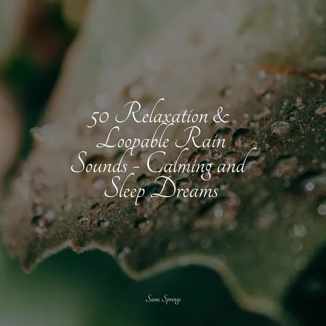 50 Relaxation & Loopable Rain Sounds - Calming and Sleep Dreams