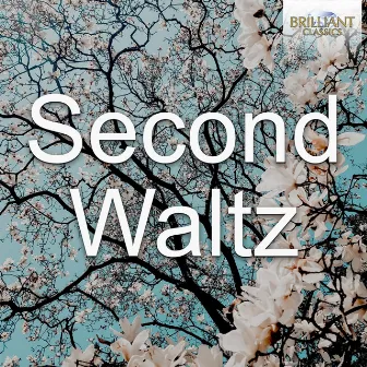 Second Waltz by Ukraine National Symphony Orchestra