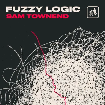 Fuzzy Logic by Unknown Artist