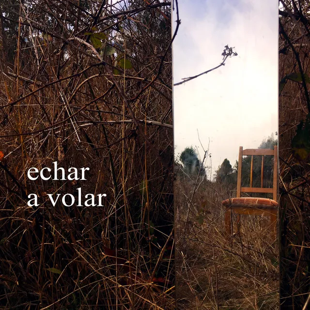 Echar a volar