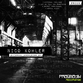 External Knowledge EP by Nico Kohler