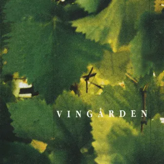 Vingården - The Vineyard by Morten Alfred Høirup