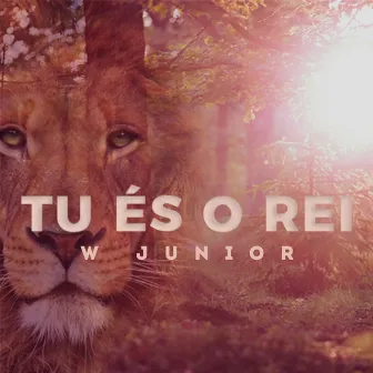 Tu És o Rei by W Junior