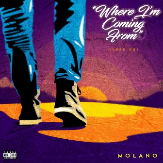 Where I'm Coming From by Molano