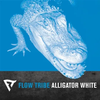 Alligator White by Flow Tribe