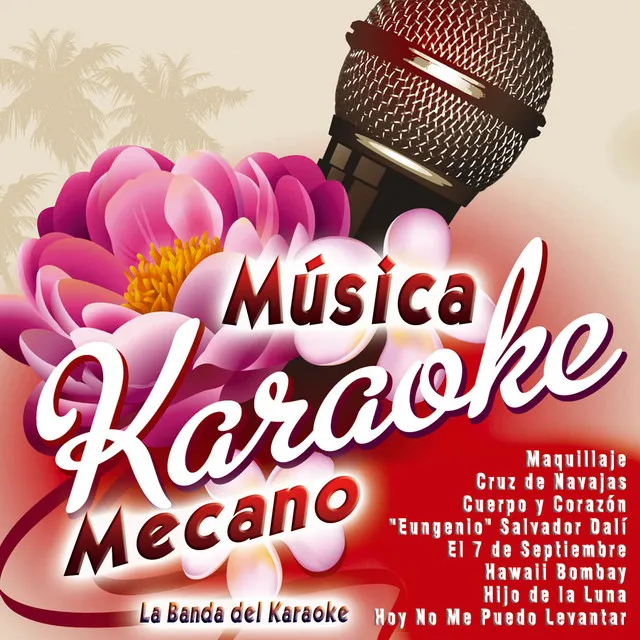 Música Karaoke - Mecano