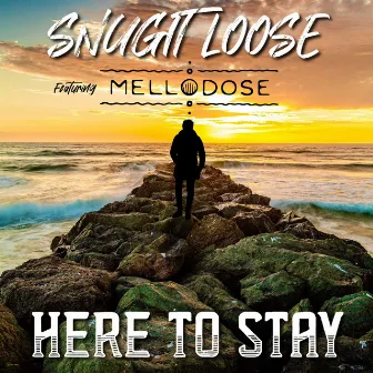 Here to Stay by Snugit Loose