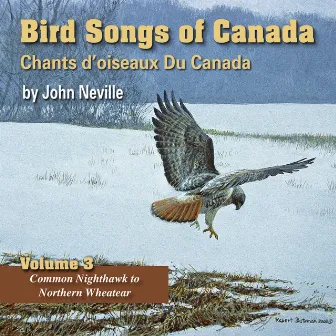 Bird Songs of Canada, Vol. 3 by John Neville