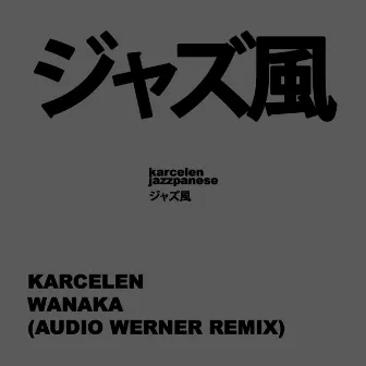 Wanaka (Audio Werner Remix) by Audio Werner