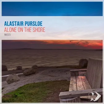 Alone on the Shore by Alastair Pursloe