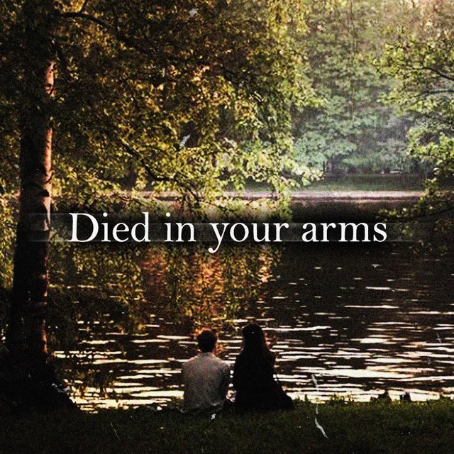 Died in your arms - REMIX