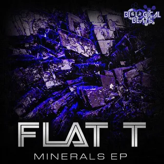 Minerals EP by Flat T