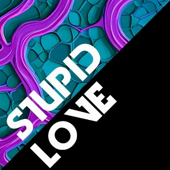 Stupid Love by Stanley Hottek