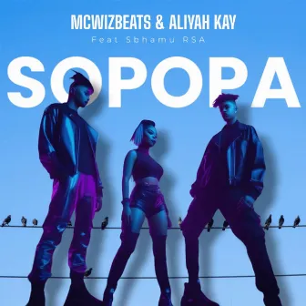 Sopopa by McWizBeats