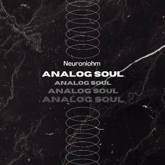 Analog Soul by Neuroniohm