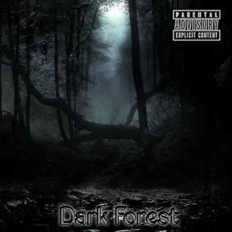 Dark Forest by 