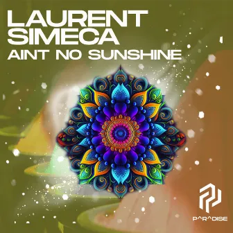 Ain't No Sunshine by Laurent Simeca