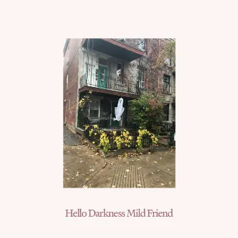 Hello Darkness Mild Friend by David Shaw