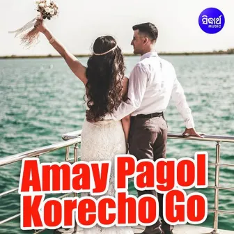 Amay Pagol Korecho Go by Shankar Bhattacharjee