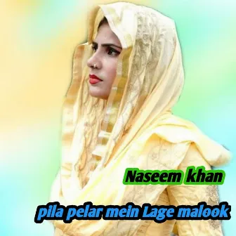 pila pelar mein Lage malook by Naseem Khan