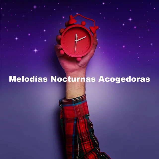 Melodías Nocturnas Acogedoras