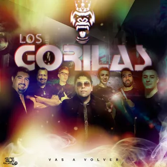 Vas a volver by Los Gorilas