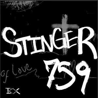 Stinger 759 by ken sato experience