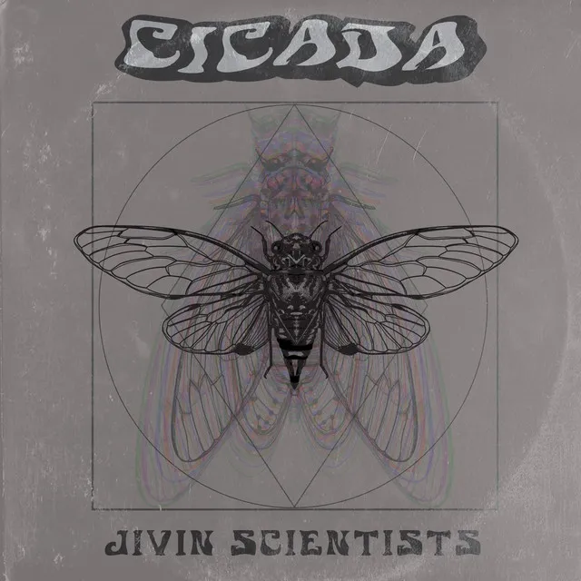 Cicada