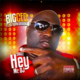 Hey Mr. DJ by Big Ced